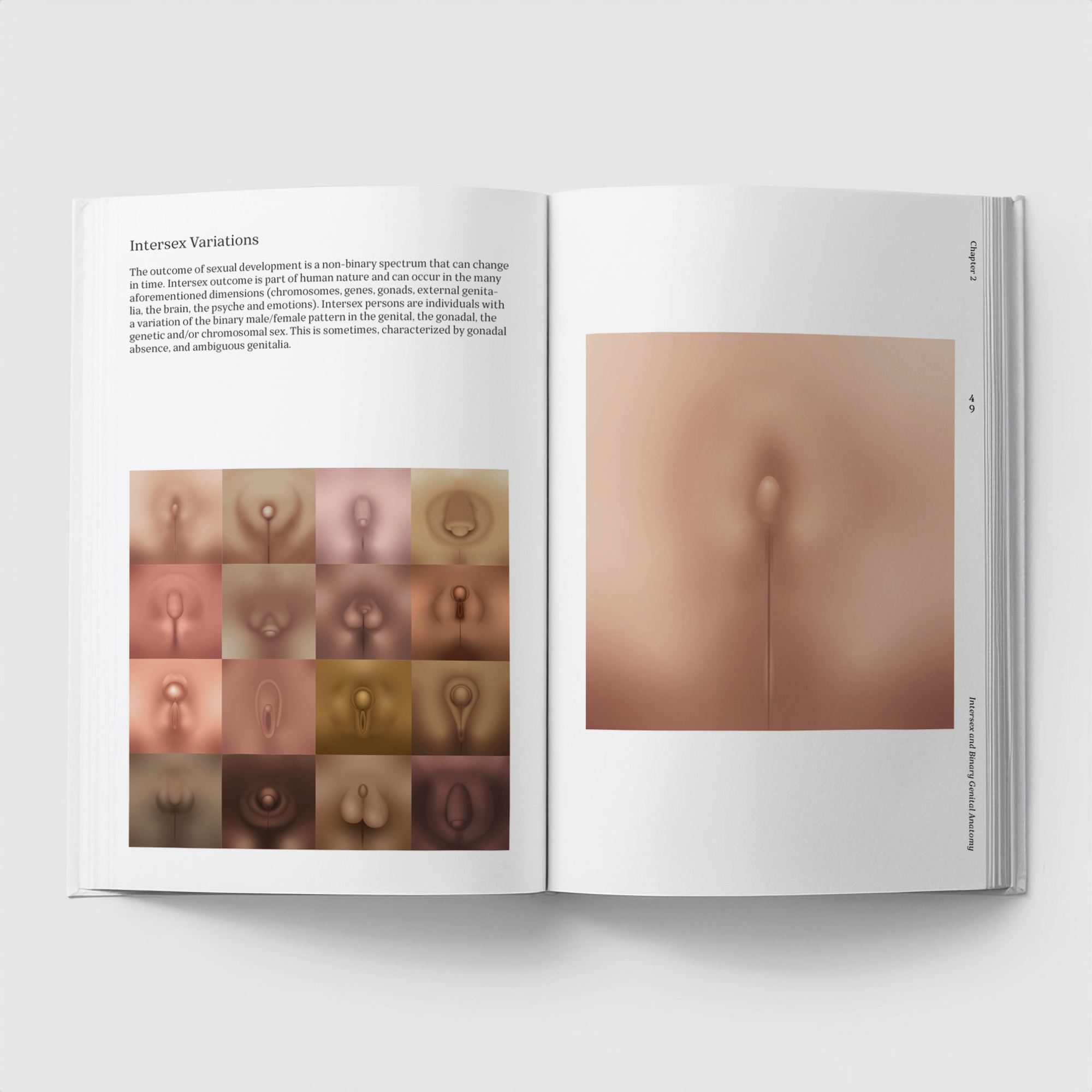 art Book Atlas of Queer Anatomy