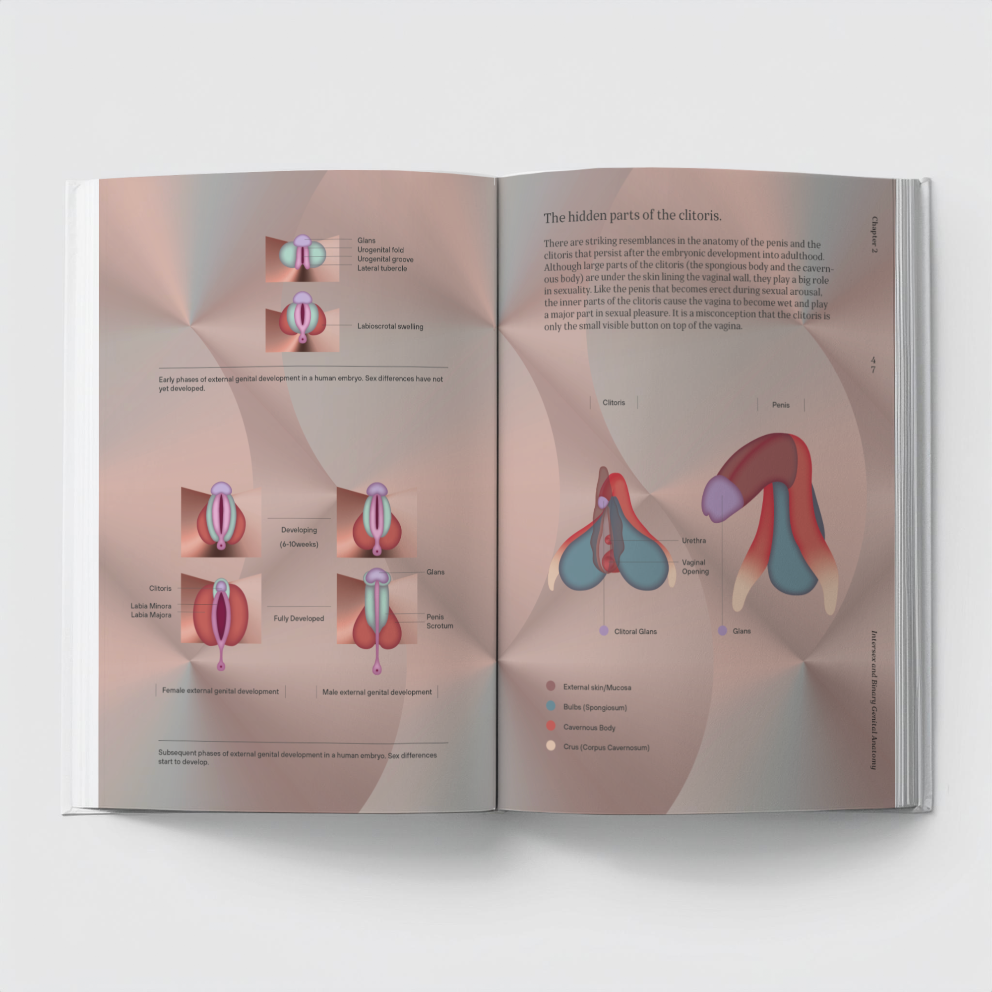 art Book Atlas of Queer Anatomy