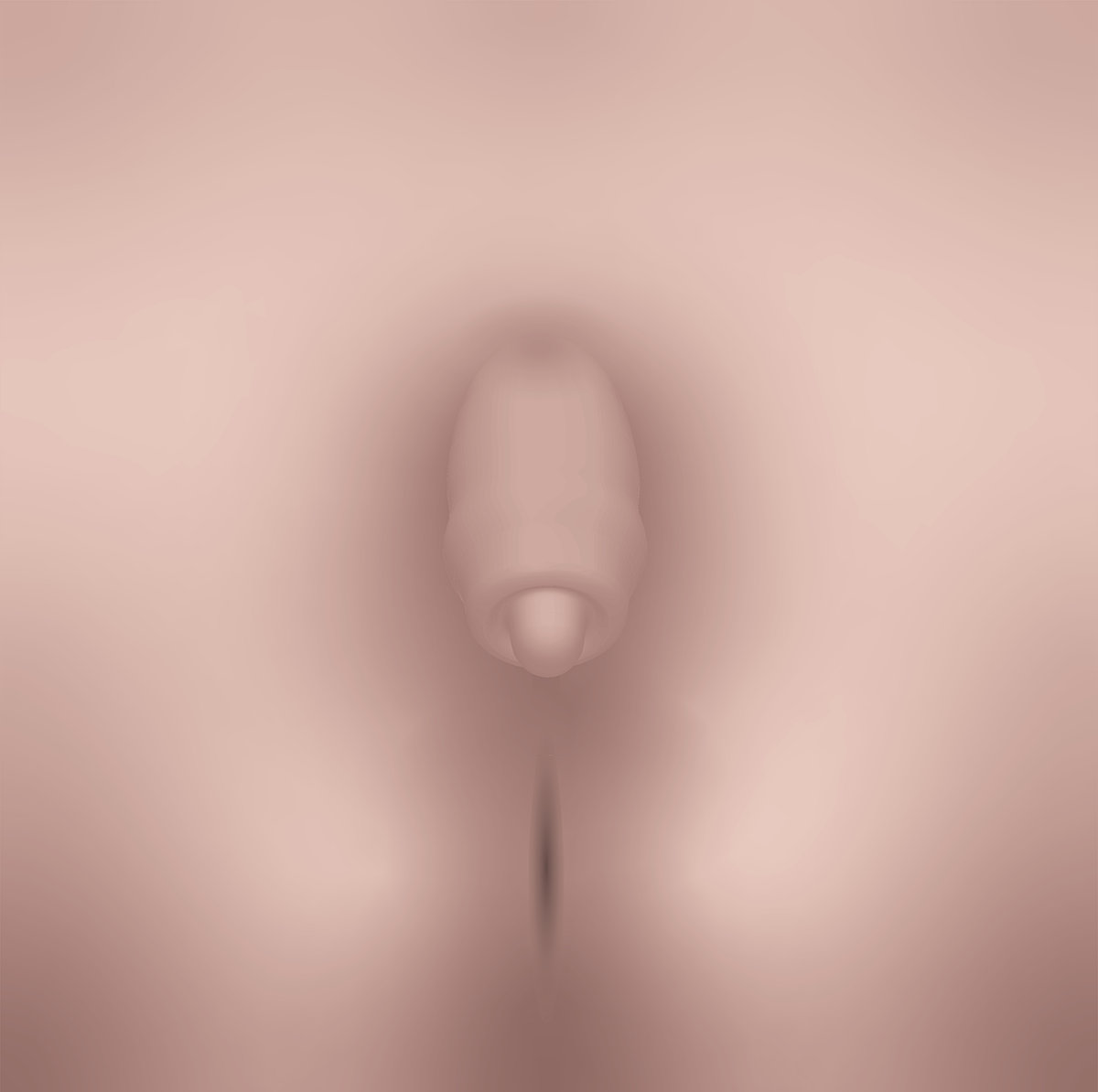 Intersex and Binary Genital Anatomy