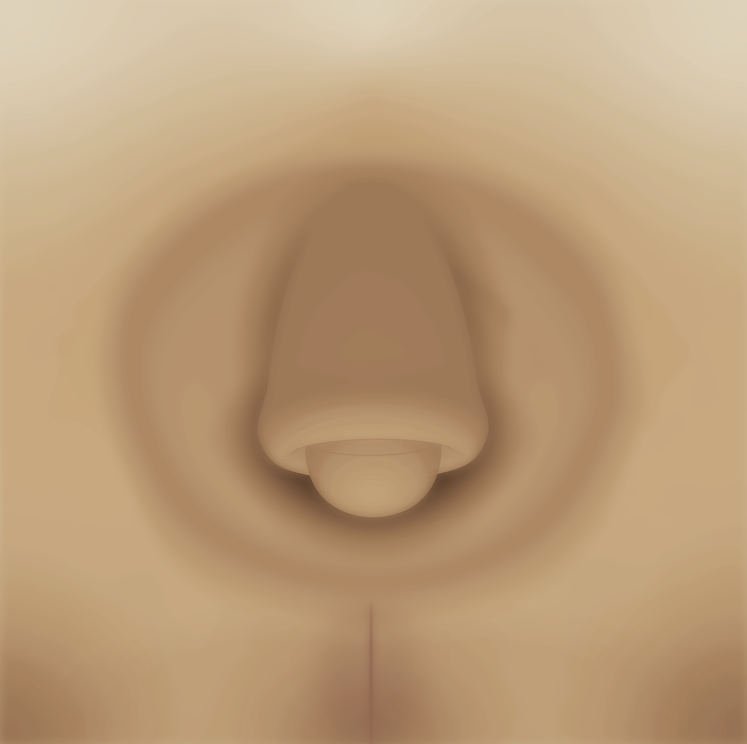 Intersex and Binary Genital Anatomy