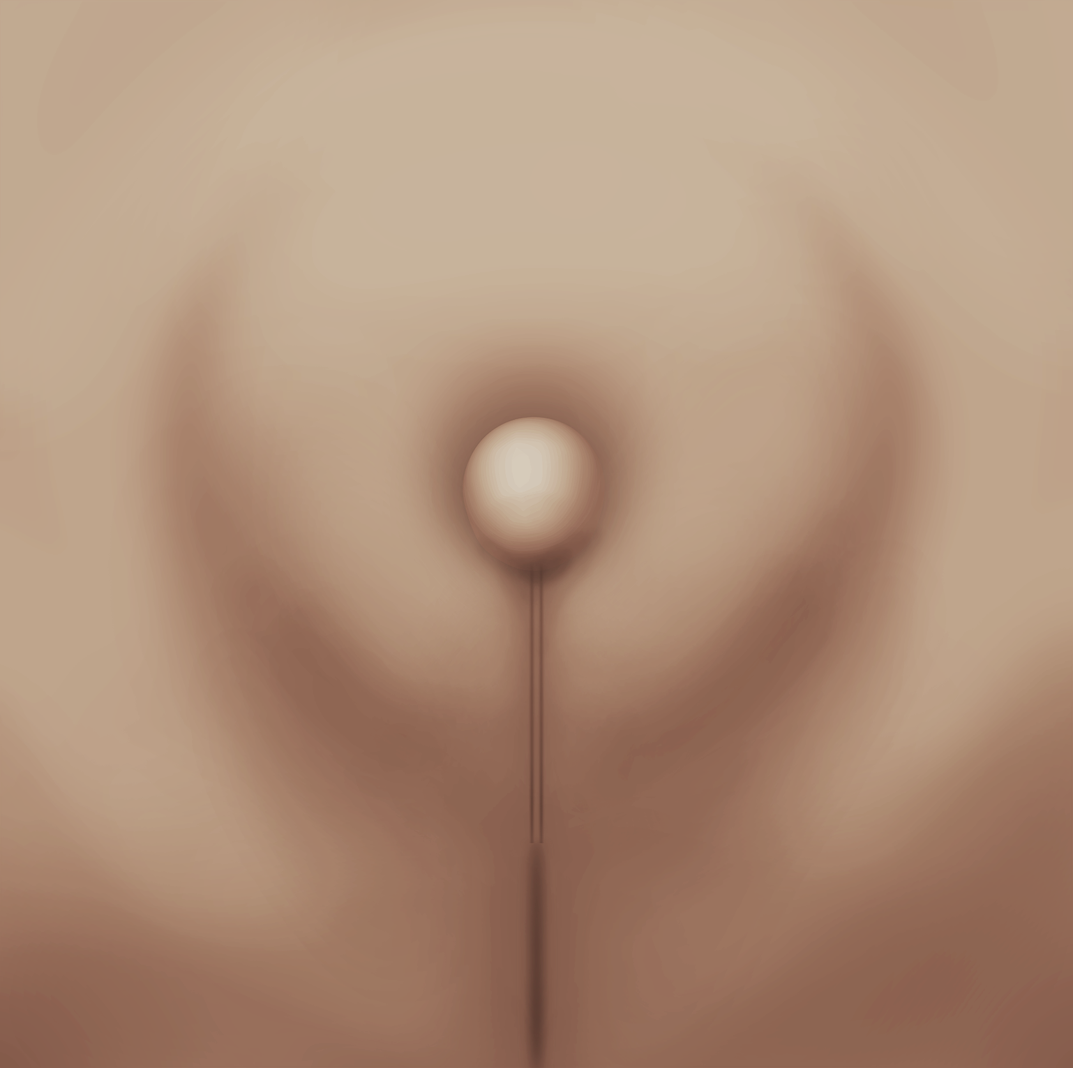 Intersex and Binary Genital Anatomy