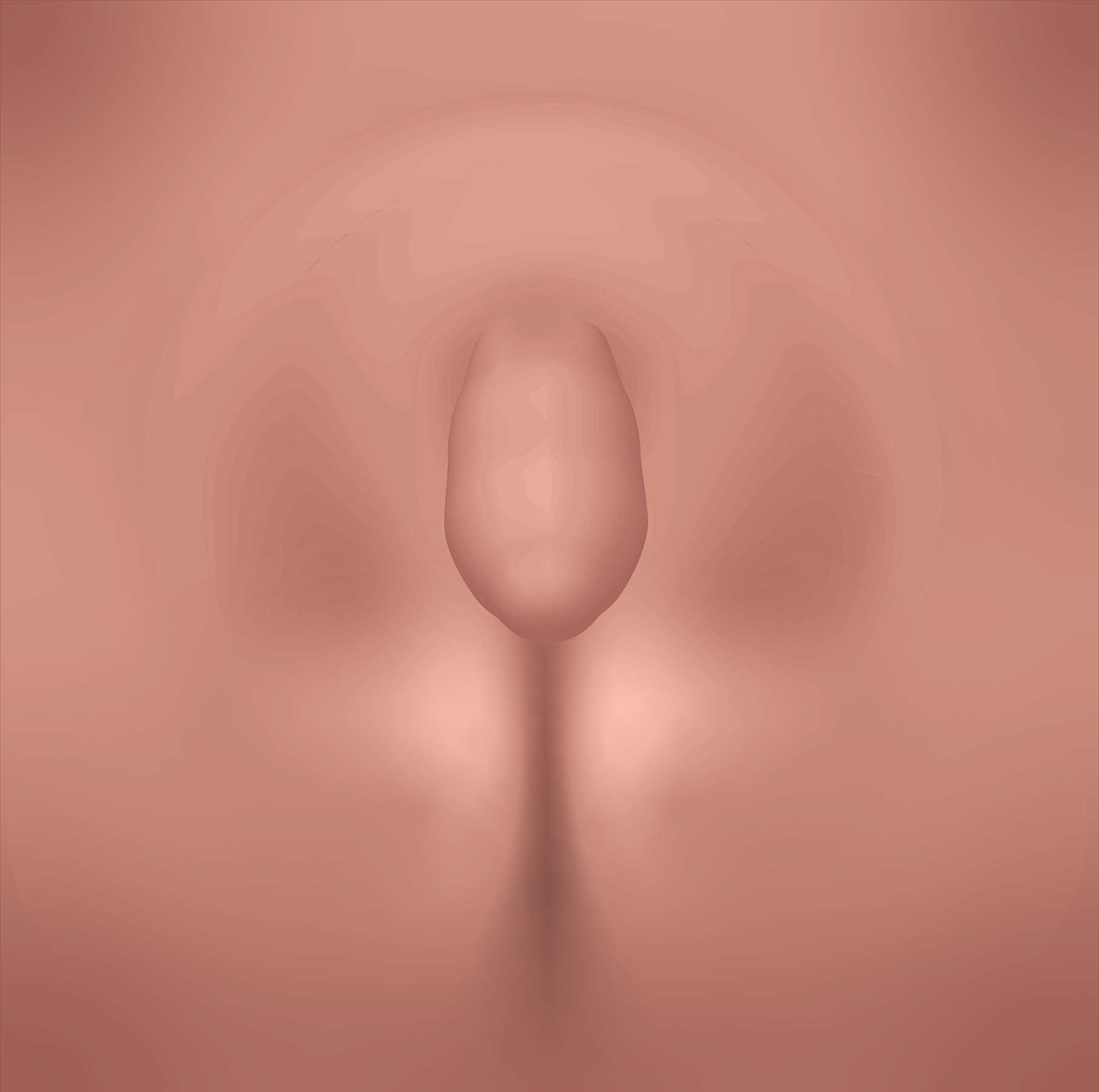 Intersex and Binary Genital Anatomy